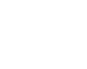 NT CPA Professional Corporation